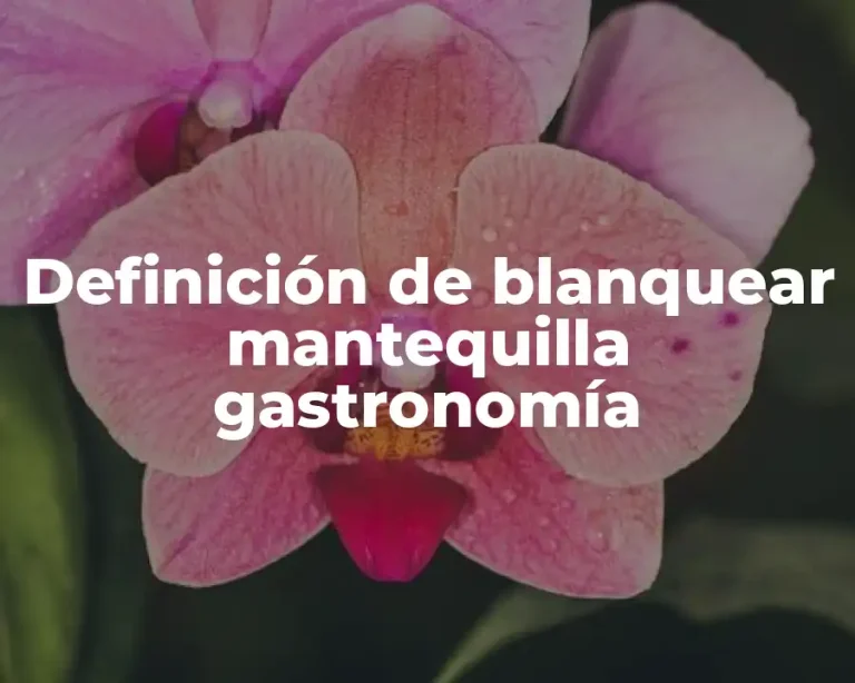 Definición de blanquear mantequilla gastronomía