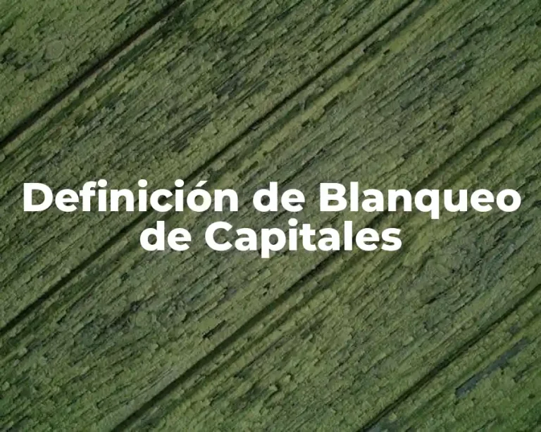 Definición de Blanqueo de Capitales