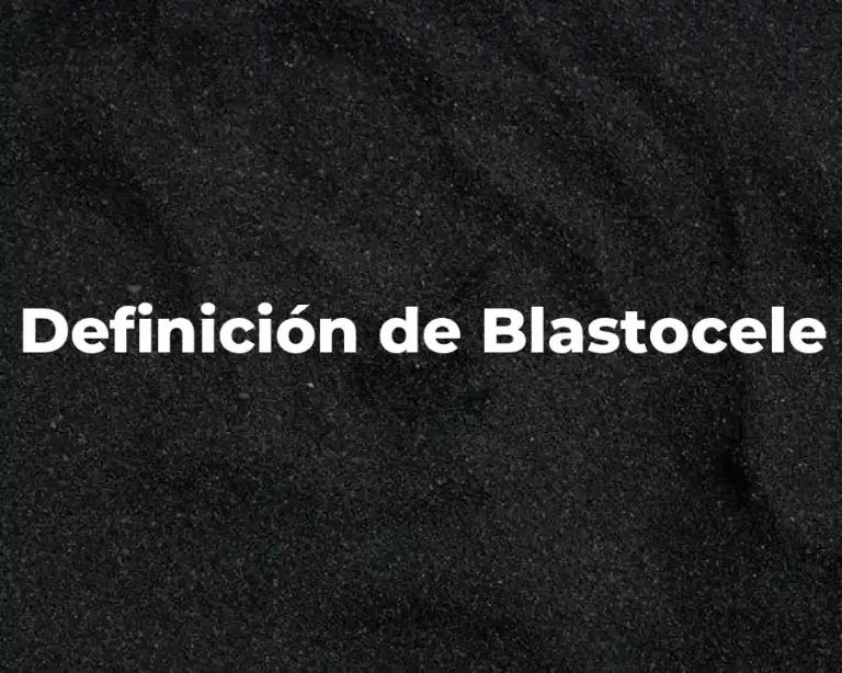 Definición de Blastocele