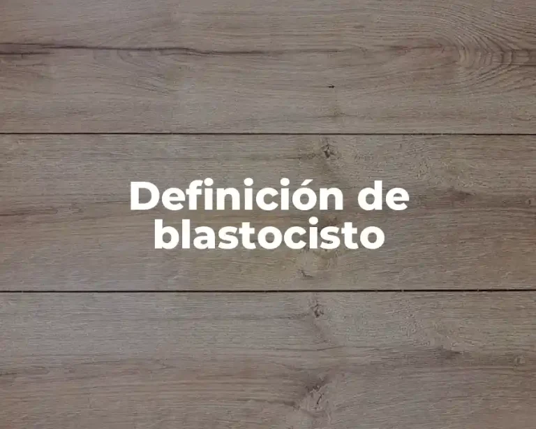 Definición de blastocisto