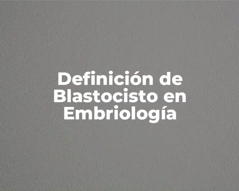 Definición de Blastocisto en Embriología