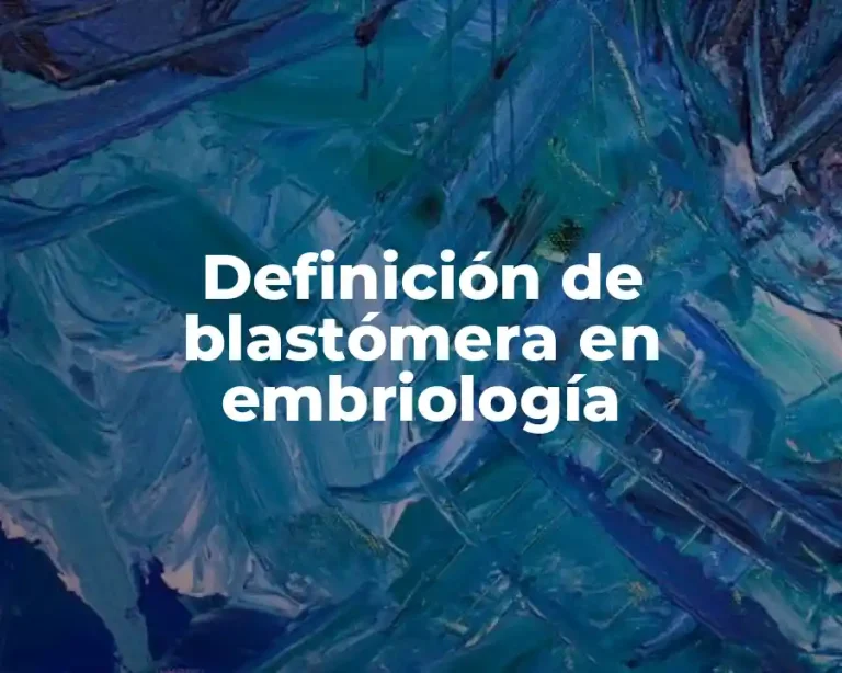 Definición de blastómera en embriología