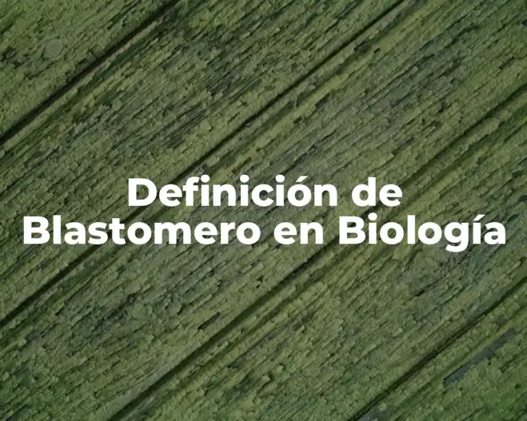 Definición de Blastomero en Biología