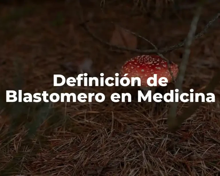 Definición de Blastomero en Medicina