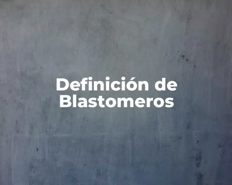 Definición de Blastomeros