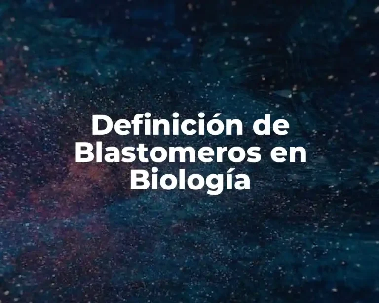 Definición de Blastomeros en Biología