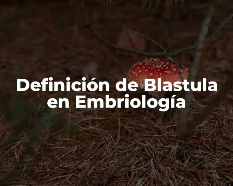 Definición de Blastula en Embriología