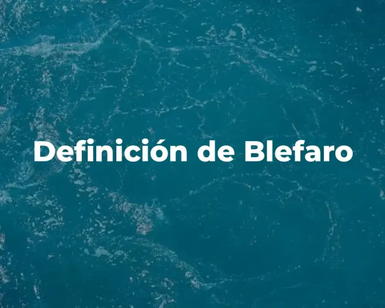 Definición de Blefaro