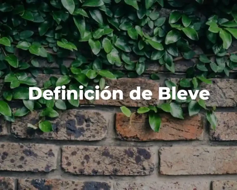 Definición de Bleve