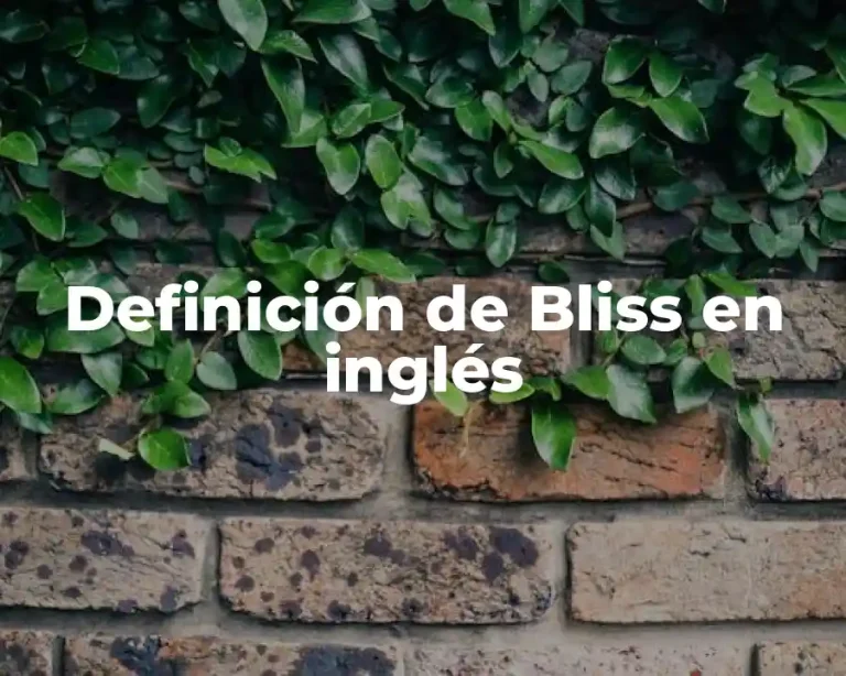 Definición de Bliss en inglés