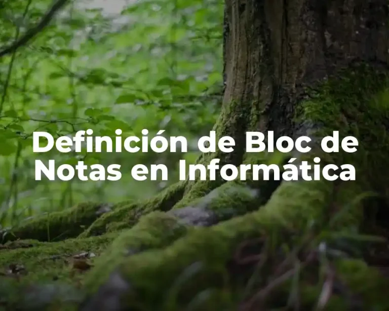 Definición de Bloc de Notas en Informática
