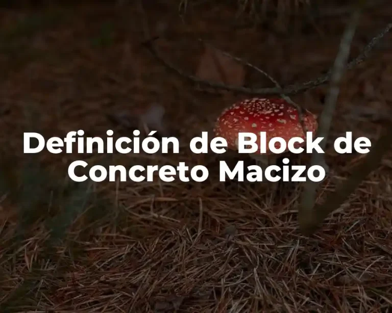 Definición de Block de Concreto Macizo