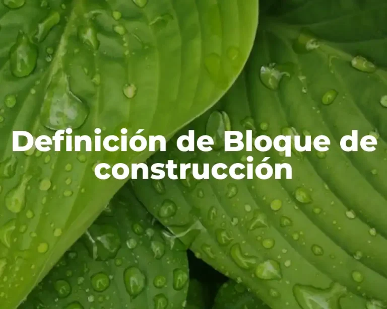 Definición de Bloque de construcción
