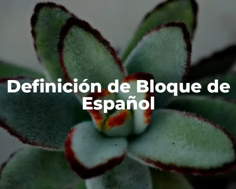 Definición de Bloque de Español