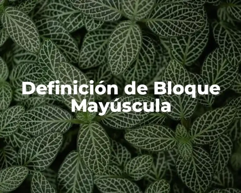 Definición de Bloque Mayúscula