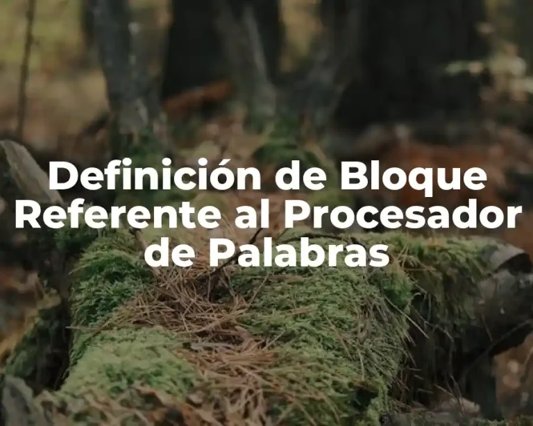 Definición de Bloque Referente al Procesador de Palabras