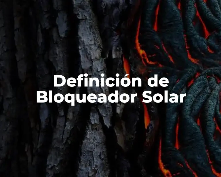 Definición de Bloqueador Solar
