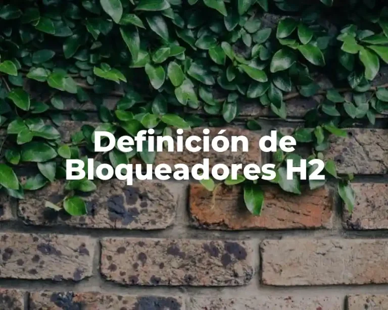 Definición de Bloqueadores H2