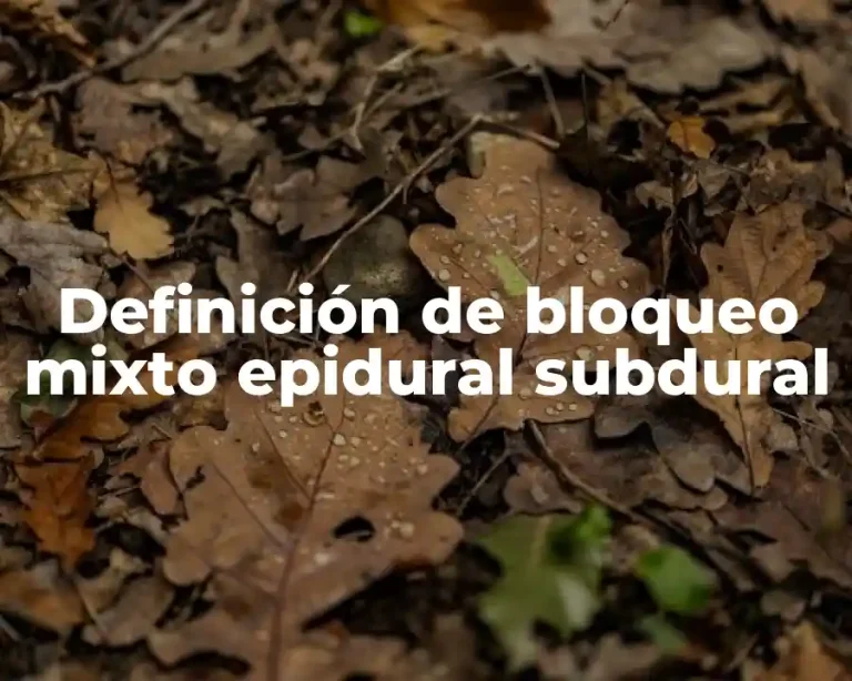 Definición de bloqueo mixto epidural subdural