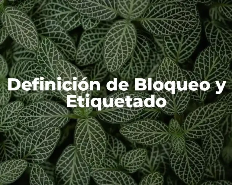 Definición de Bloqueo y Etiquetado
