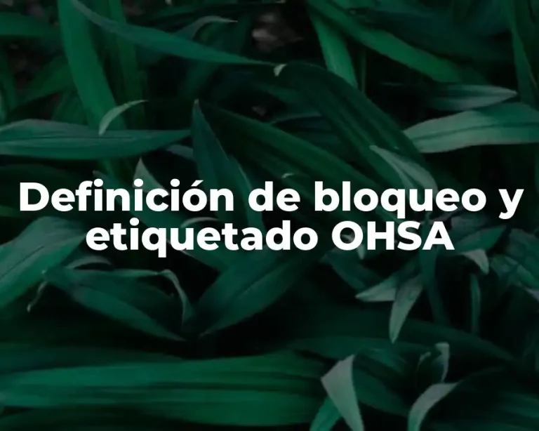 Definición de bloqueo y etiquetado OHSA