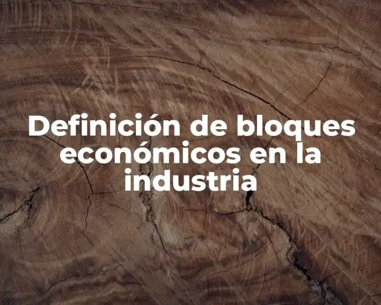 Definición de bloques económicos en la industria