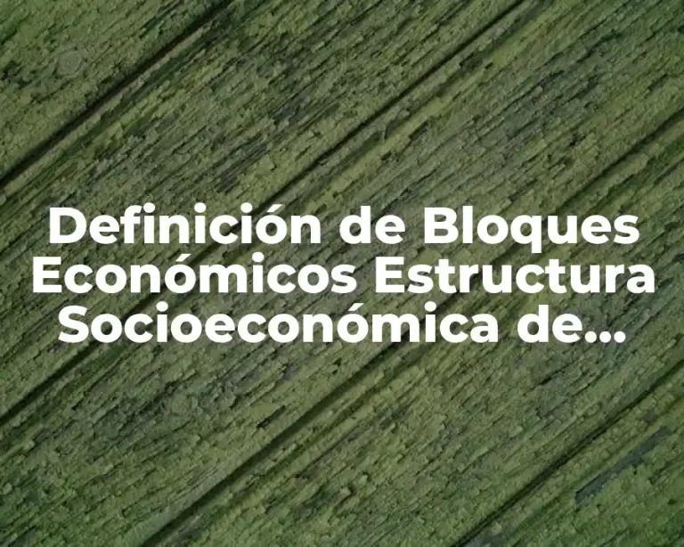 Definición de Bloques Económicos Estructura Socioeconómica de México