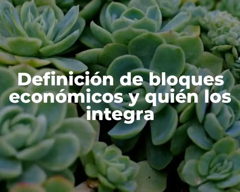 Definición de bloques económicos y quién los integra
