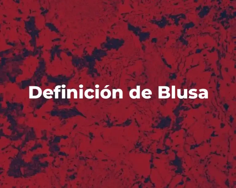 Definición de Blusa
