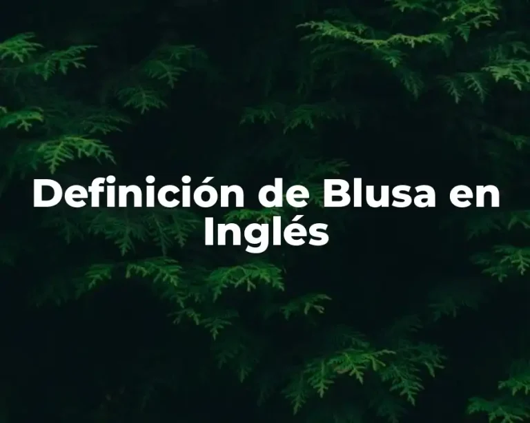 Definición de Blusa en Inglés