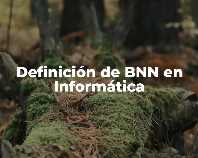 Definición de BNN en Informática