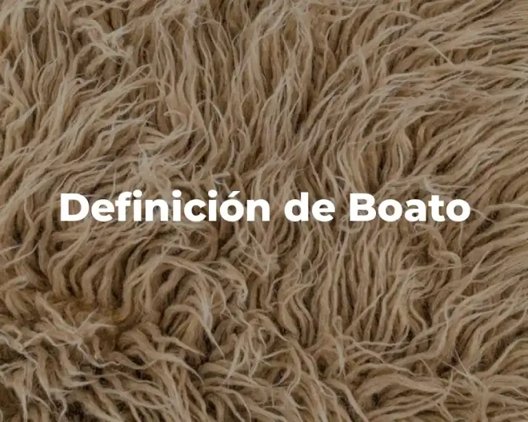 Definición de Boato
