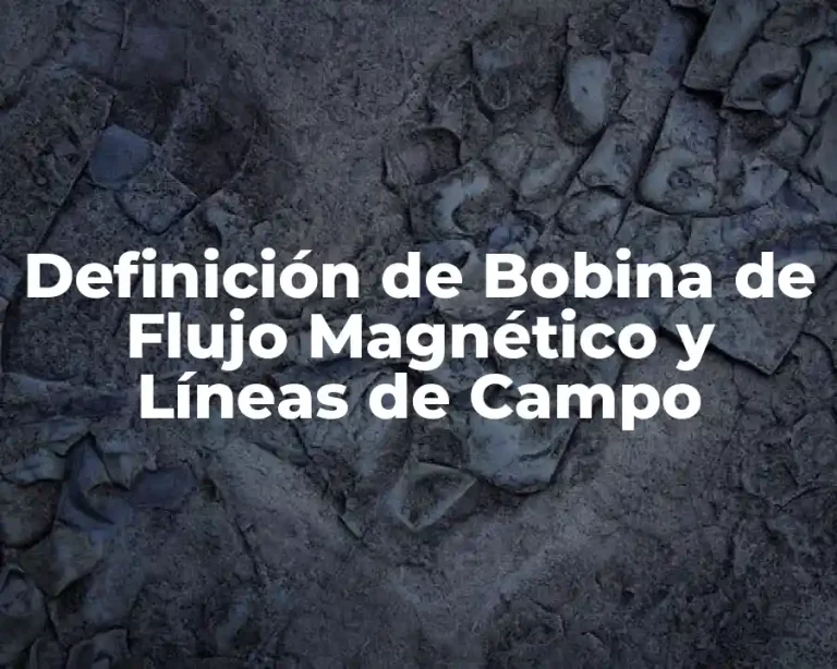 Definición de Bobina de Flujo Magnético y Líneas de Campo