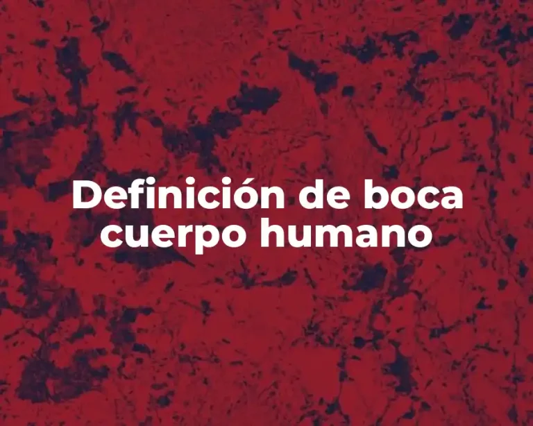 Definición de boca cuerpo humano