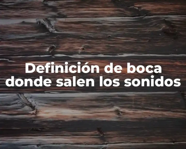 Definición de boca donde salen los sonidos