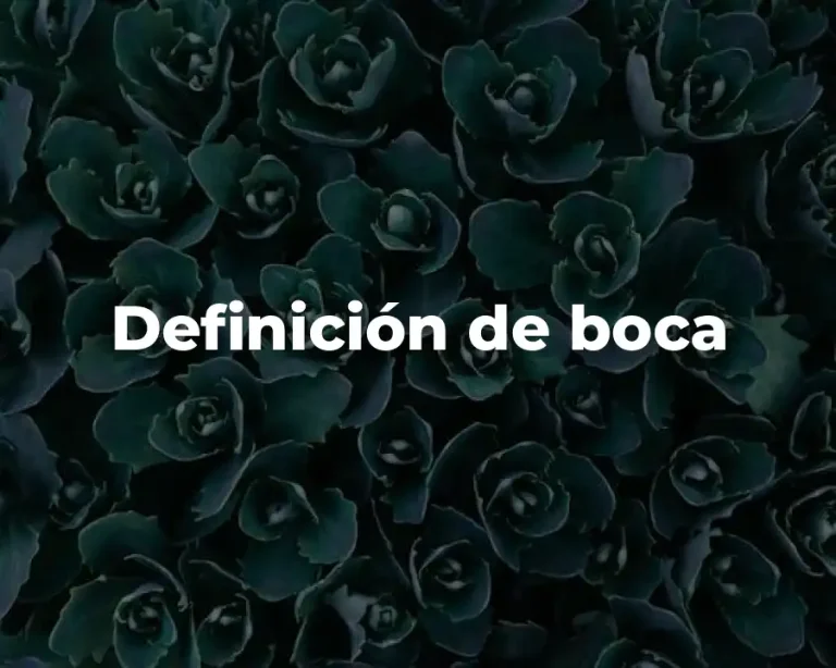 Definición de boca