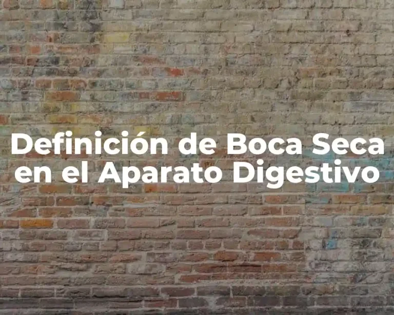 Definición de Boca Seca en el Aparato Digestivo