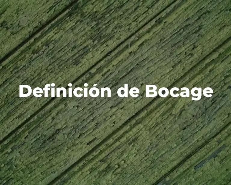 Definición de Bocage