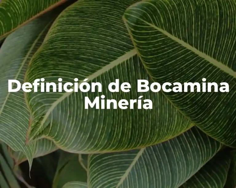 Definición de Bocamina Minería