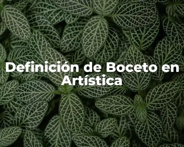 Definición de Boceto en Artística