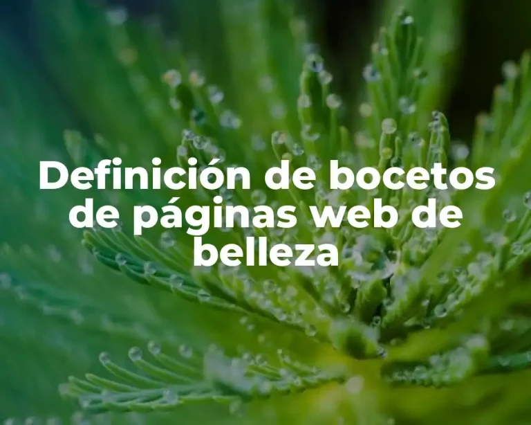 Definición de bocetos de páginas web de belleza