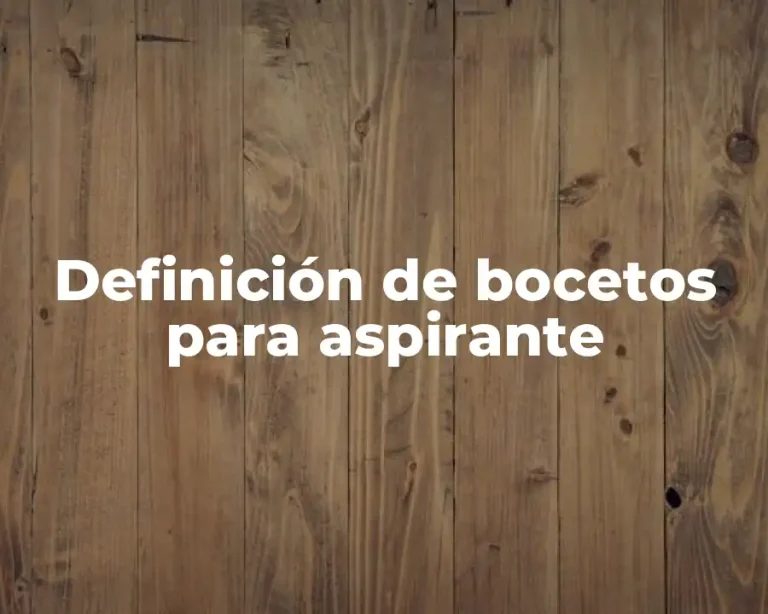 Definición de bocetos para aspirante