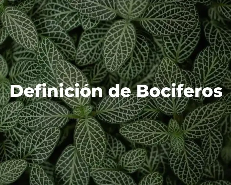 Definición de Bociferos