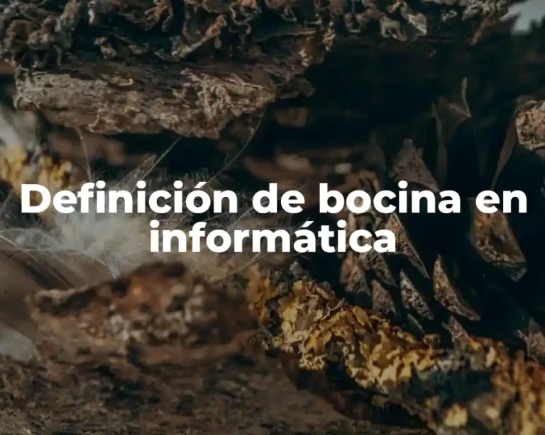 Definición de bocina en informática