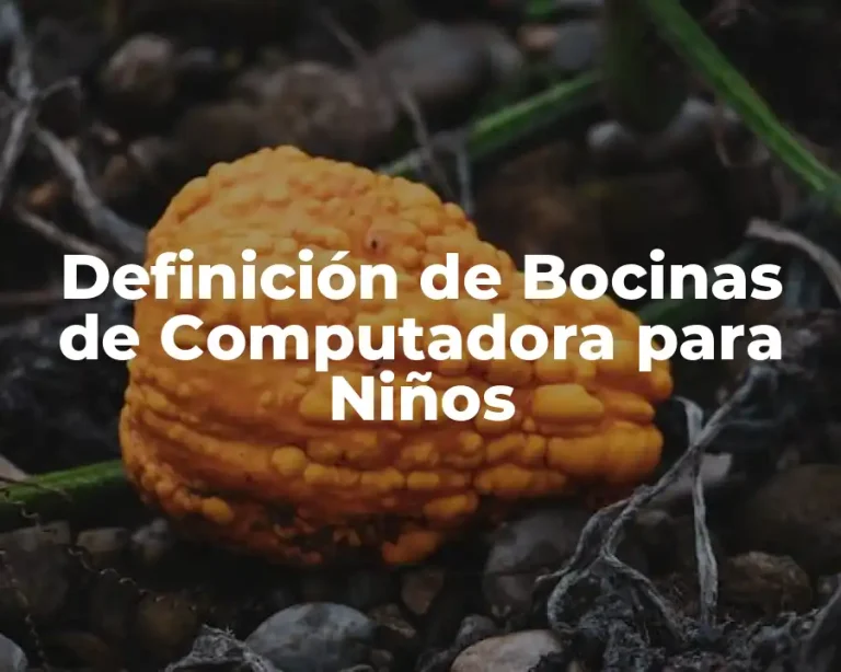 Definición de Bocinas de Computadora para Niños