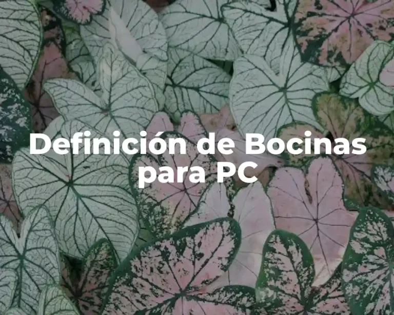 Definición de Bocinas para PC