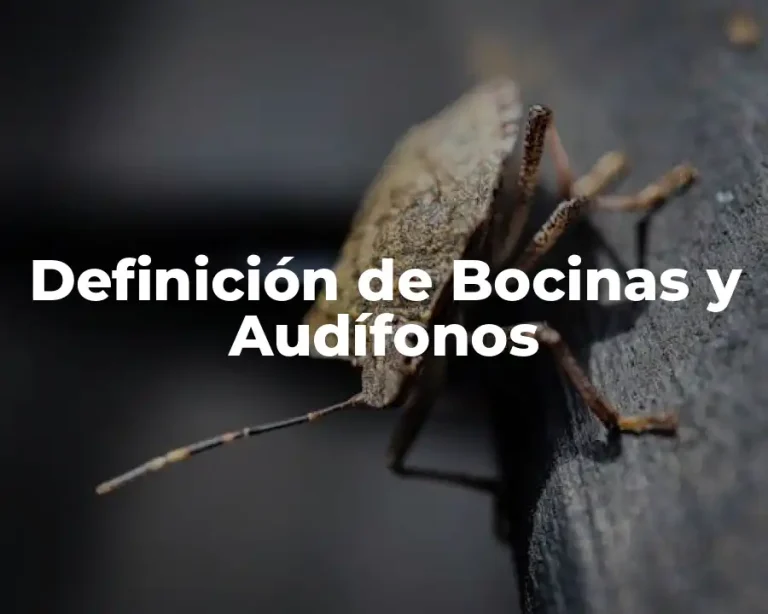 Definición de Bocinas y Audífonos