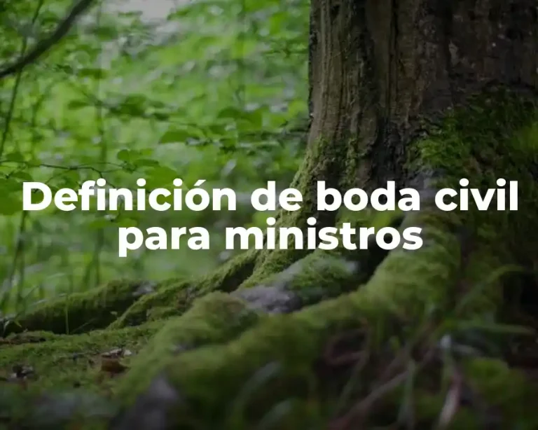 Definición de boda civil para ministros