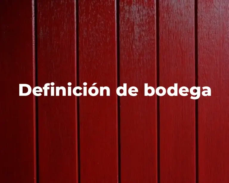 Definición de bodega