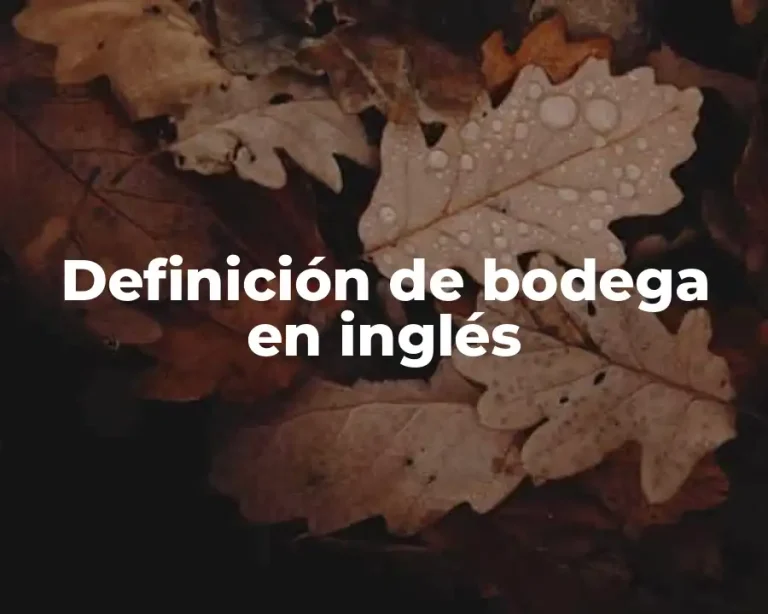 Definición de bodega en inglés
